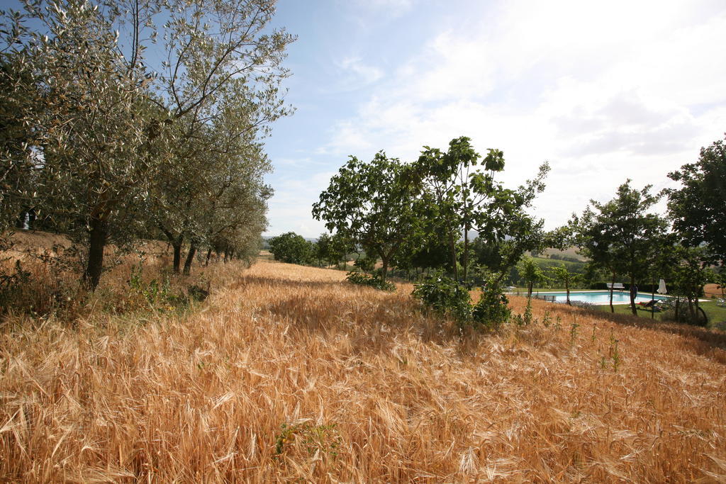 קיאנצ'נו טרמה Tenuta Di Argiano A Montepulciano חדר תמונה